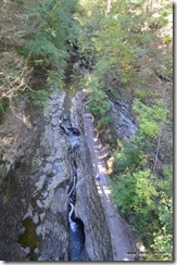 Gorge Trail down river