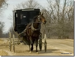 Mennonite horse and carriage