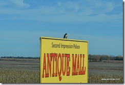 Rapters on signs