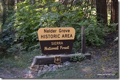 Nelder Grove