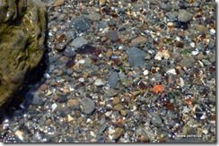 Sea glass in the water