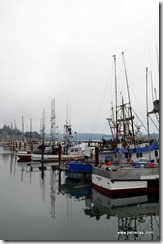 Newport Fishing Boats